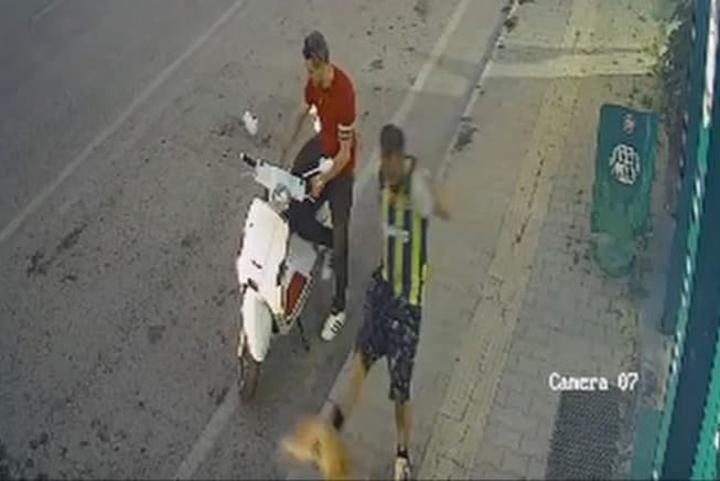 Böyle vicdansızlık görülmedi! Yolda duran kediye tekme attı