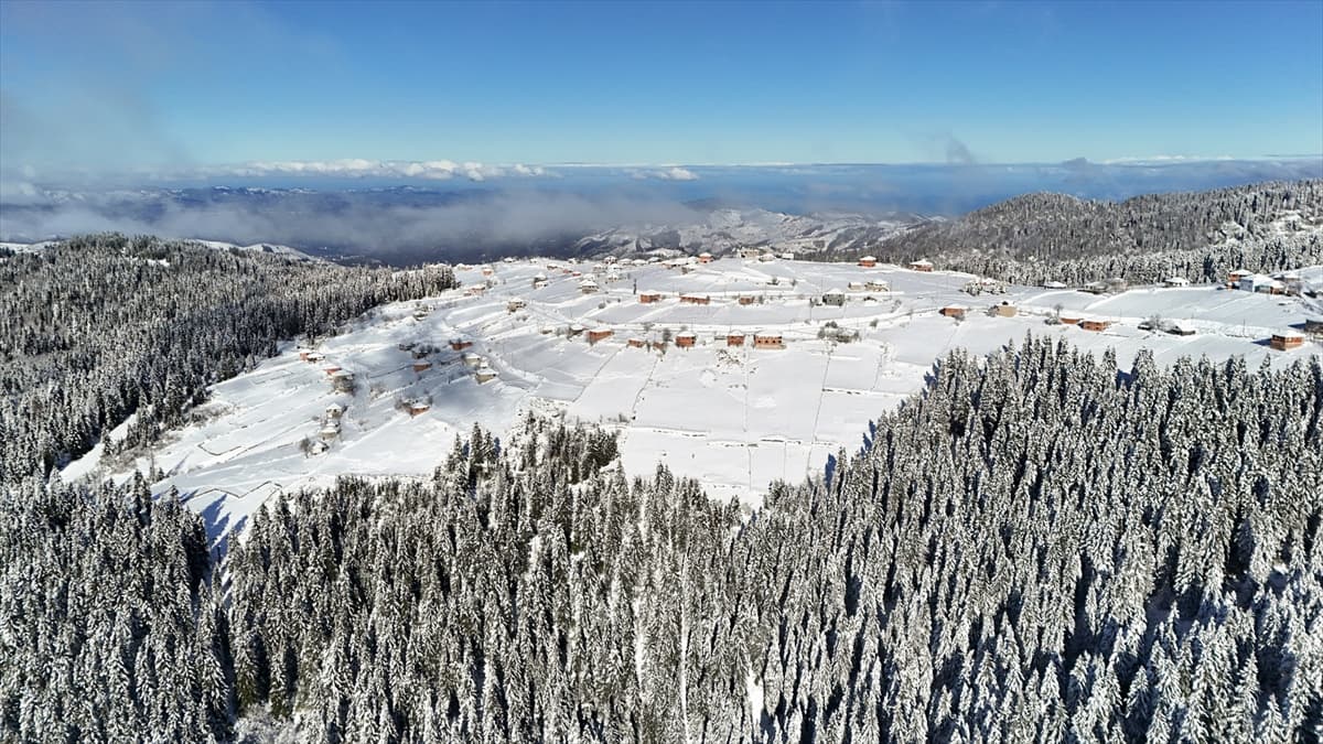 Ordu'nun Çambaşı Yaylası'nda kar ve sisle muhteşem manzara