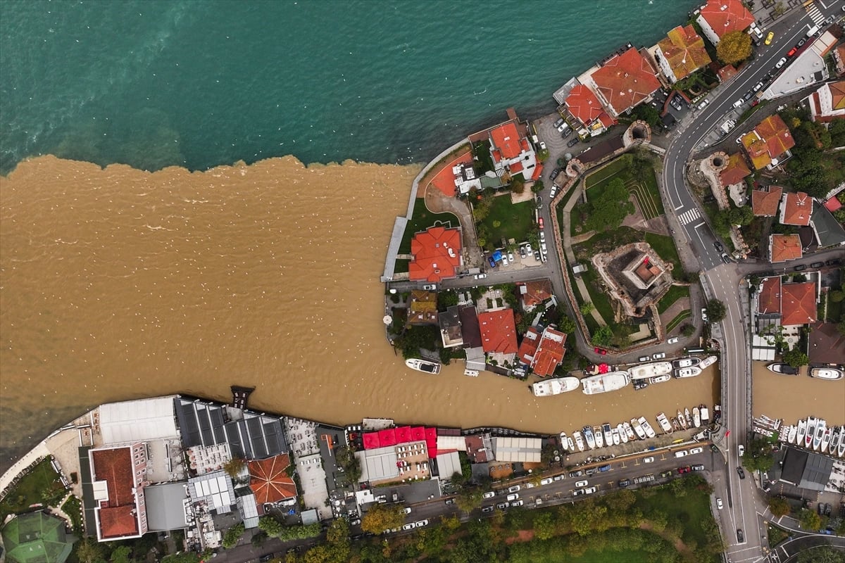 İstanbul Boğazı kıyı kesimlerinde deniz rengi kahverengiye döndü