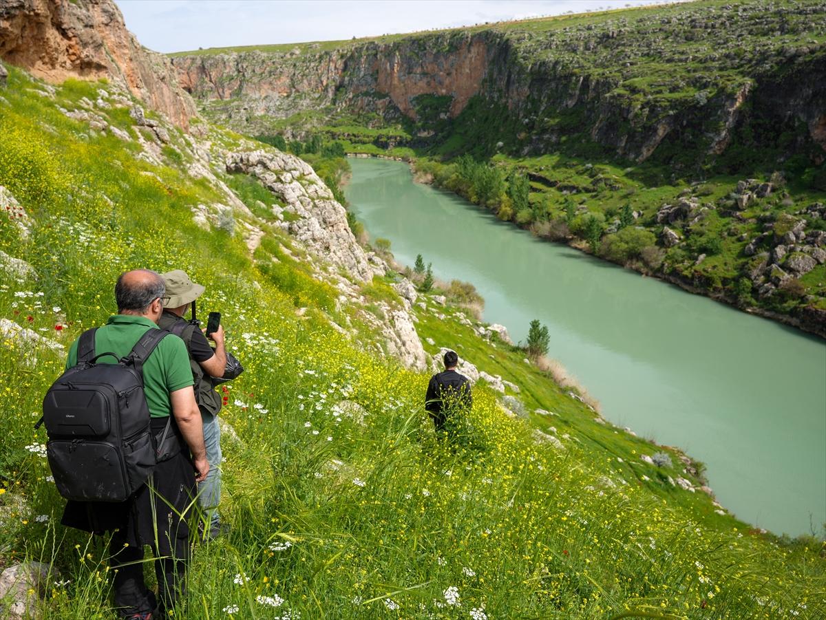 Fırat’ın kıyısında renk cümbüşü: Kızılin Kanyonu baharı karşıladı