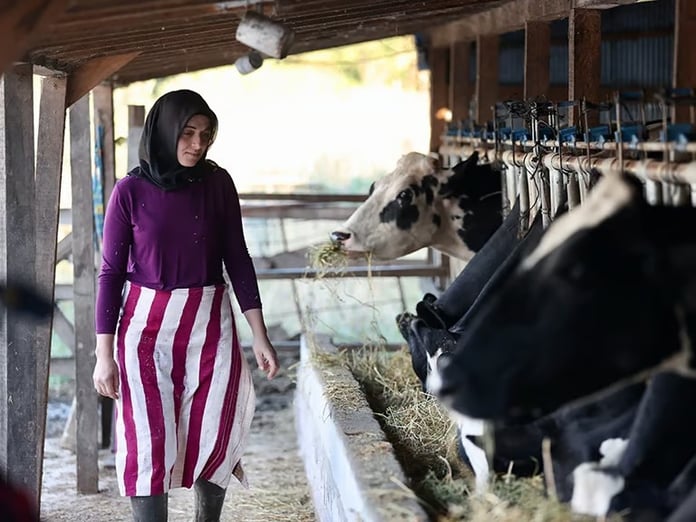 Genç çiftçilere müjde! Bekara 2, evliye 3 asgari ücret maaş verilecek