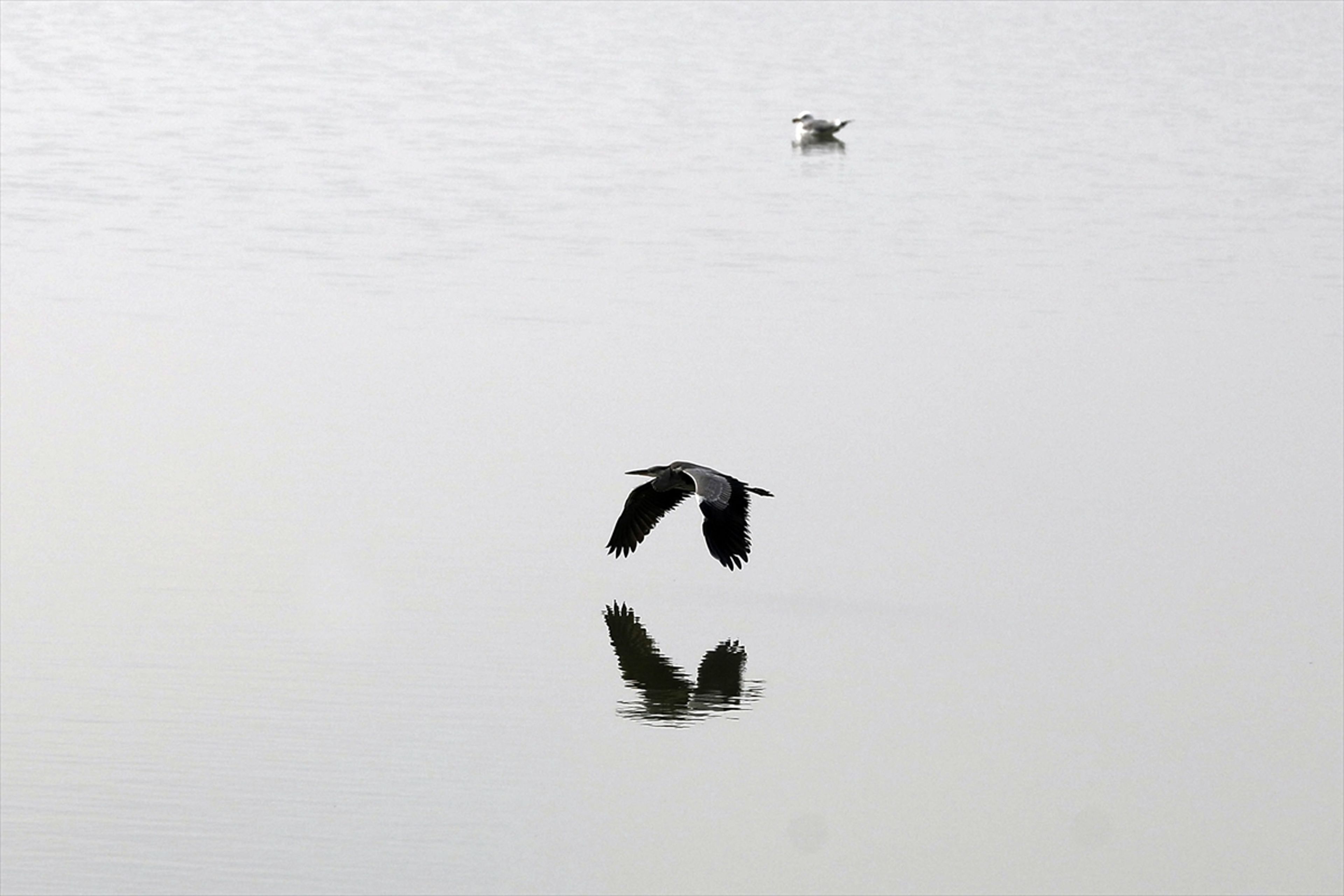 Galeri Fotoğrafı