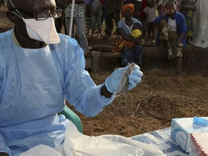 Nijerya’da lassa ateşi vakaları artıyor