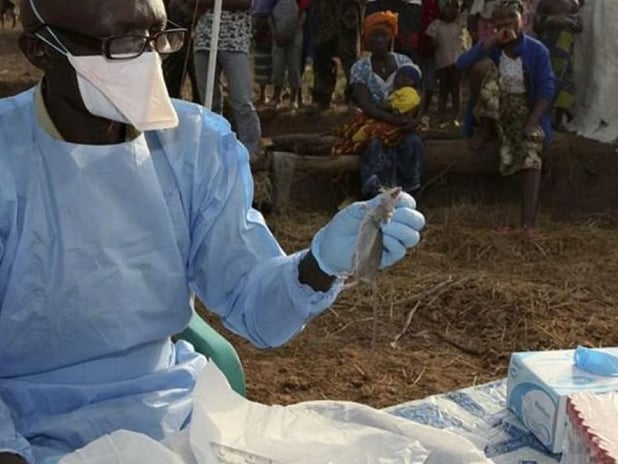 Nijerya’da lassa ateşi vakaları artıyor