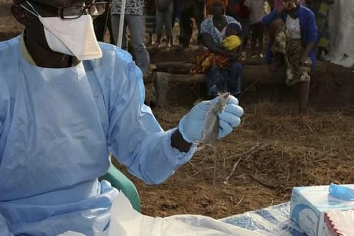 Nijerya’da lassa ateşi vakaları artıyor