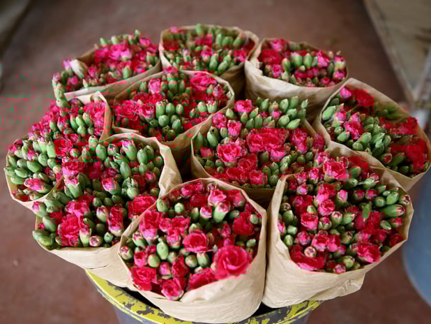 Türk çiçek sektöründe yeni dönem: 10’dan fazla tür dünyaya açıldı