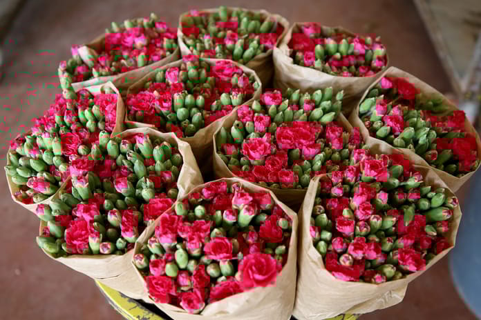 Türk çiçek sektöründe yeni dönem: 10’dan fazla tür dünyaya açıldı