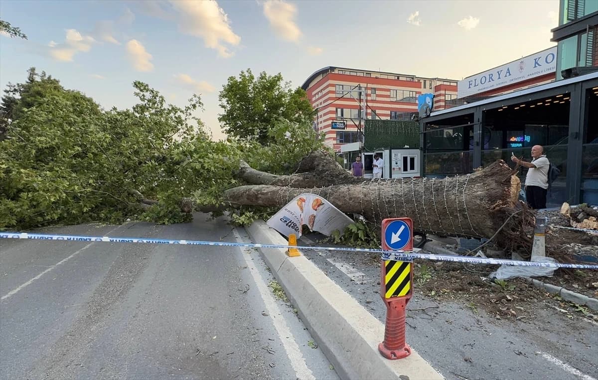 İstanbul'da etkili olan kuvvetli fırtına hayatı olumsuz etkiledi