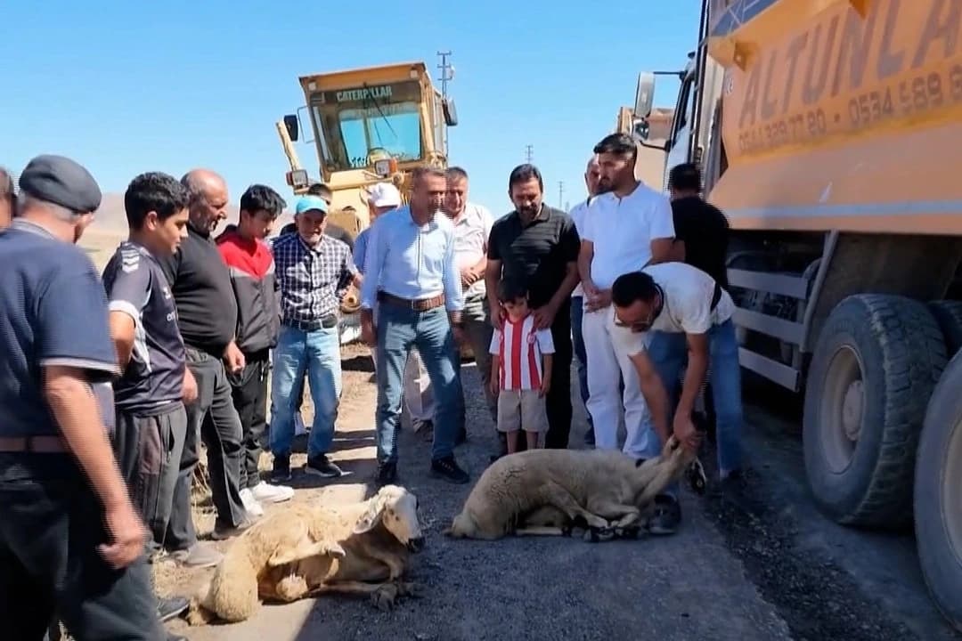Köy yolundaki genişletme çalışmasında kurban kesildi
