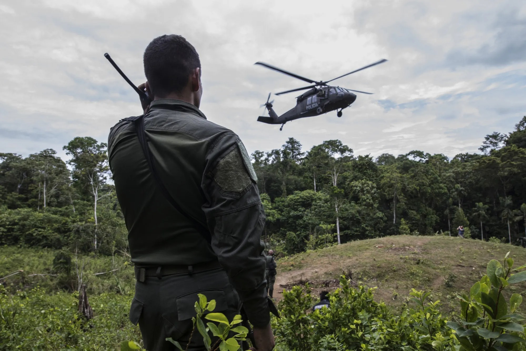 Colombia Offers Warlords 12% Profit To Disarm