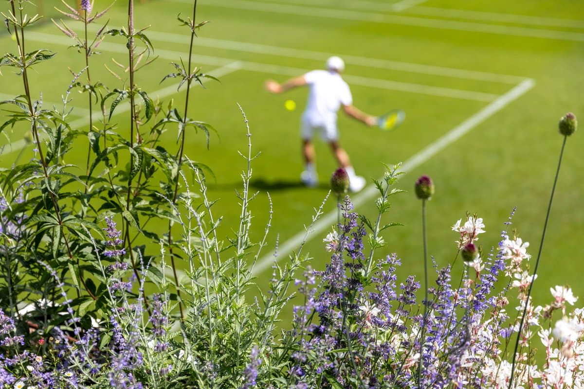 Wimbledon'da favoriler yoluna devam ediyor: Alcaraz ve Sabalenka son 16'da; Türk kökenli Sonay Kartal'dan dördüncü tur başarısı