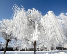 45 il için sarı kodlu uyarı! Kar ve fırtına Türkiye'yi etkisi altına alıyor