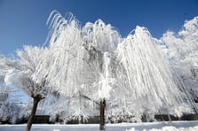 45 il için sarı kodlu uyarı! Kar ve fırtına Türkiye'yi etkisi altına alıyor