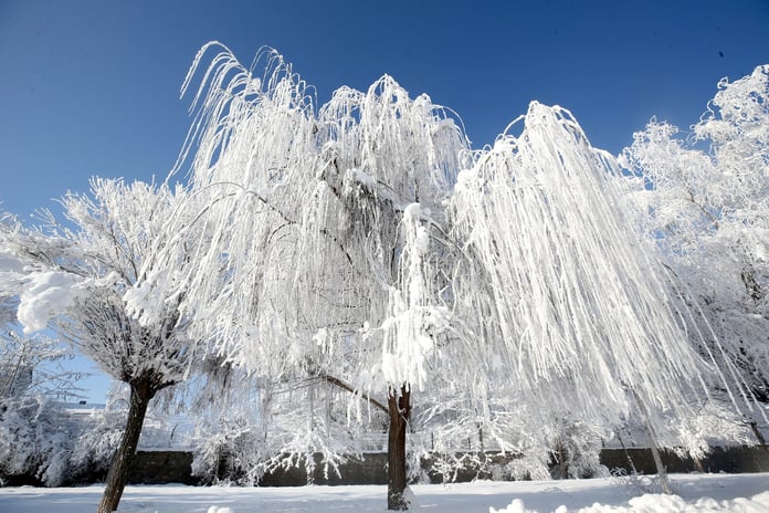 45 il için sarı kodlu uyarı! Kar ve fırtına Türkiye'yi etkisi altına alıyor