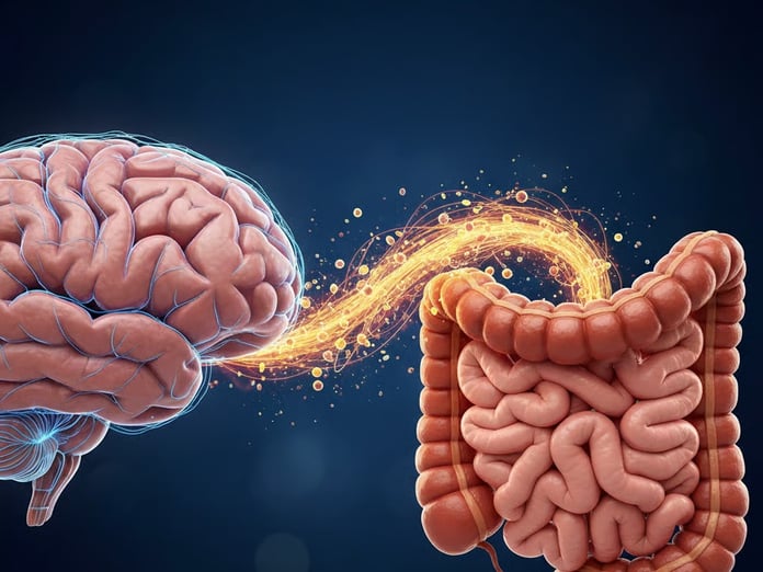 Sadece beynimiz değil, bağırsaklarımız da hissediyor