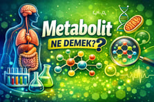 Metabolit ne demek? Metabolitleri nedir, ne anlama geliyor?