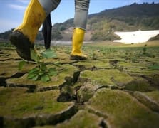 Hükümetten su krizine karşı kapsamlı yol haritası