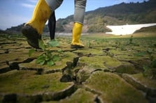 Hükümetten su krizine karşı kapsamlı yol haritası