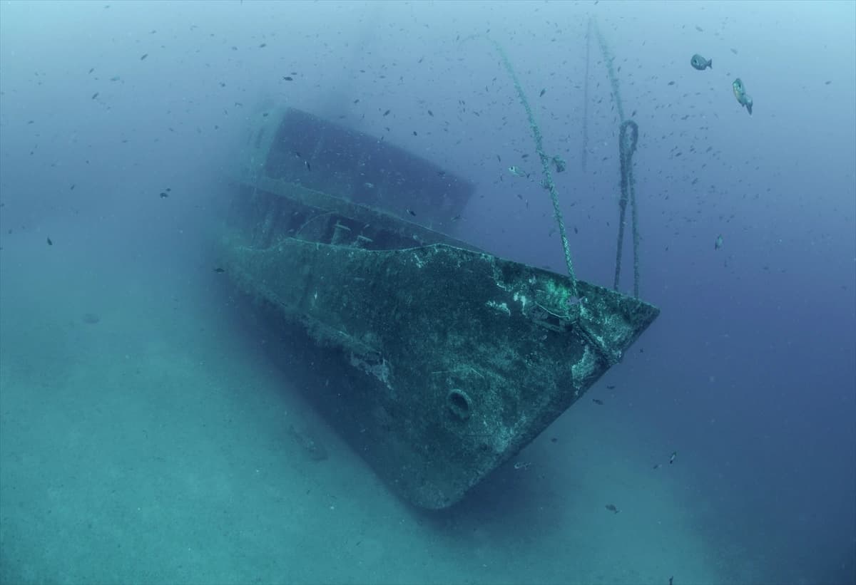 Denizin altındaki dünya Karaburun'da keşfediliyor