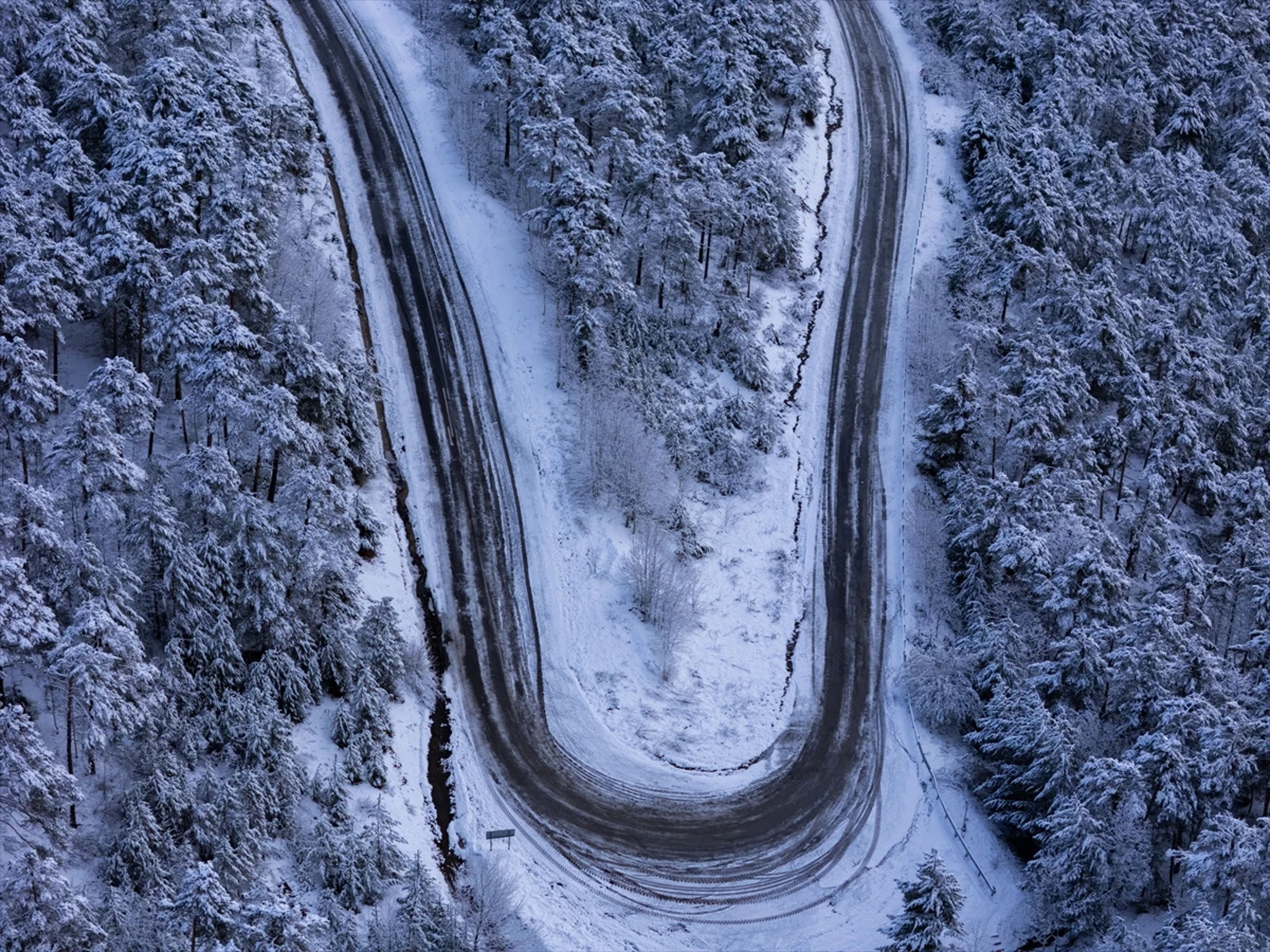 Galeri Fotoğrafı