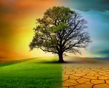 İklim Kanunu gecikirse ekonomi alarm verecek