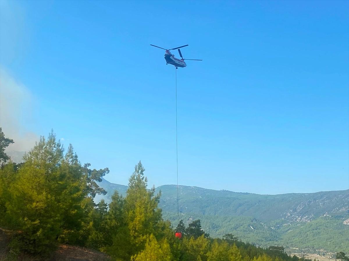 Muğla ve Antalya'da orman yangınları: Serik kontrol altında, Menteşe'de mücadele sürüyor