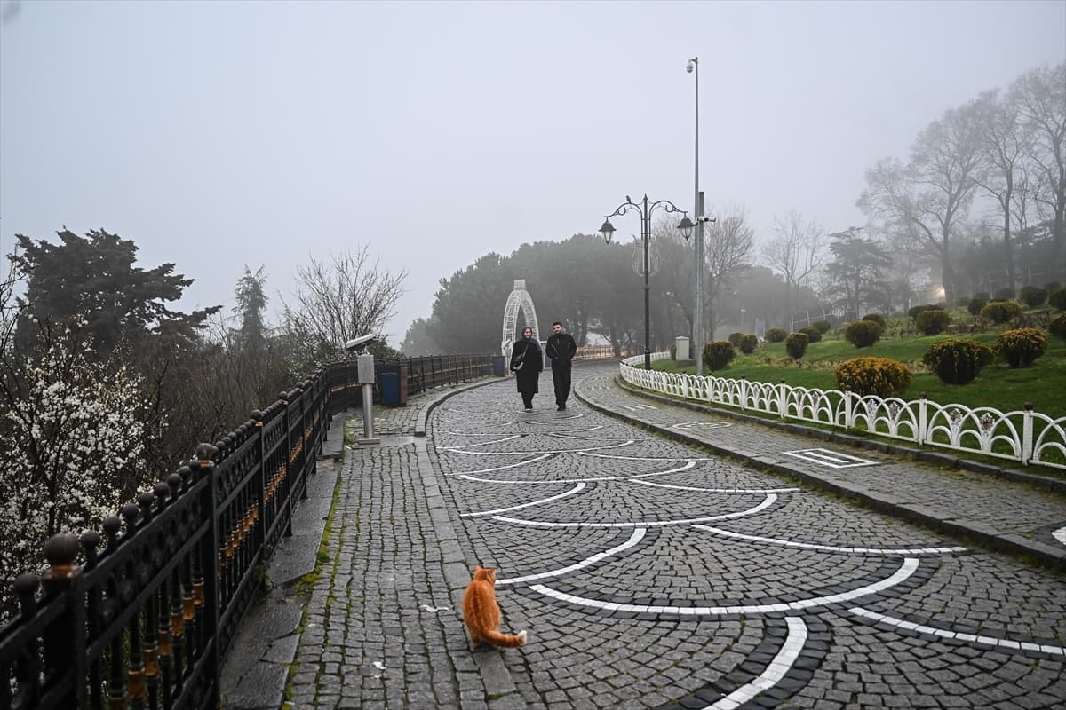 İstanbul'da sabah saatlerinde sis etkili oluyor