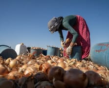 15-17 yaş grubundaki her dört çocuktan biri iş gücünde