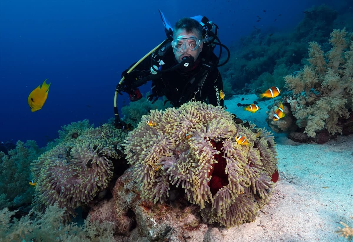 Kızıldeniz'in altındaki harikalar diyarı