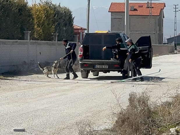 Konya'daki köpek saldırısı davasında flaş gelişme