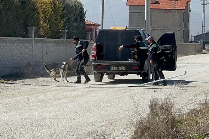 Konya'daki köpek saldırısı davasında flaş gelişme