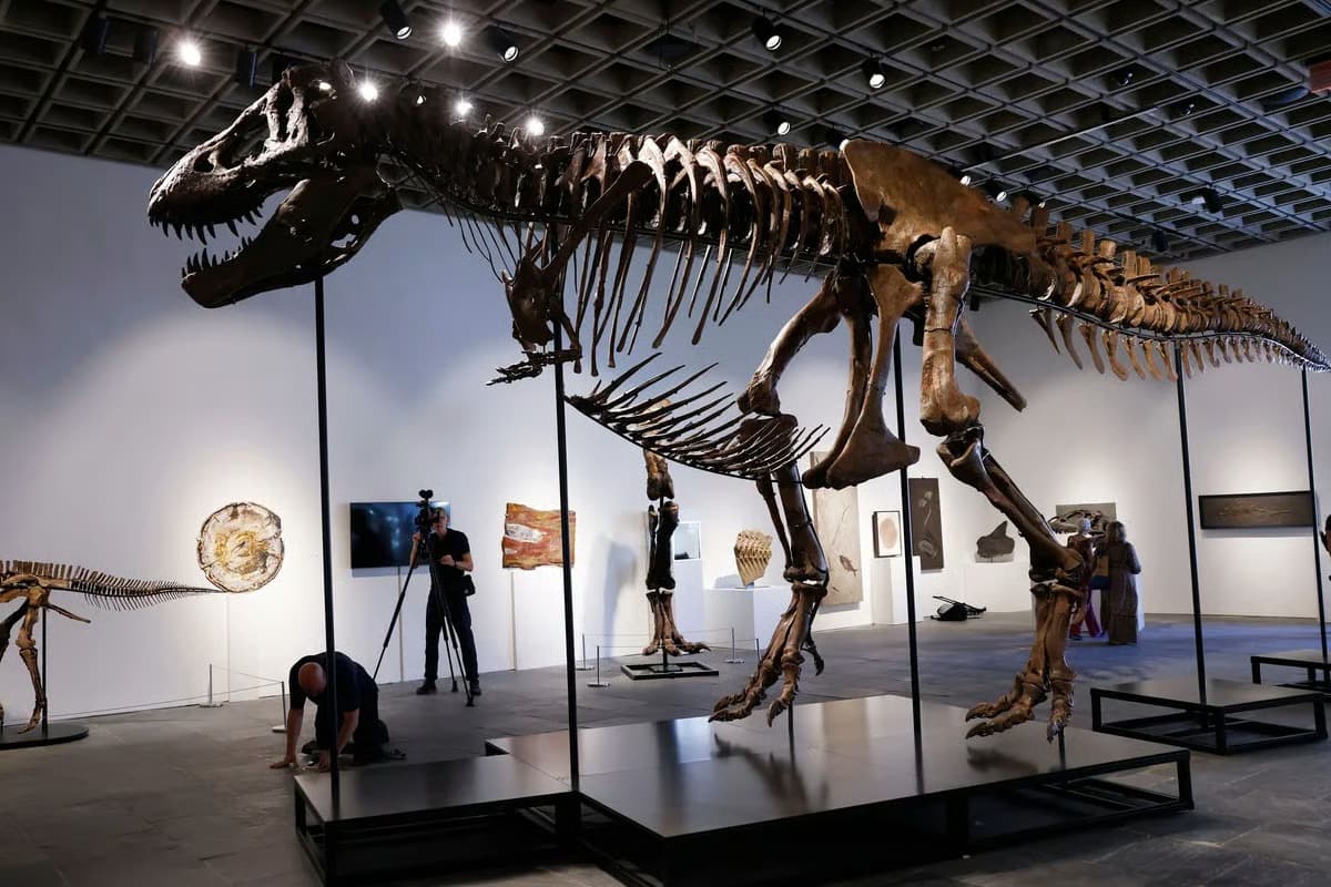 Dinozor fosili 50 milyon dolara satıldı