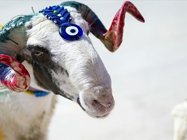 Kurban Bayramı ne zaman? Diyanet takvimi ile 2026 Kurban Bayramı hangi tarihte, kaç gün?