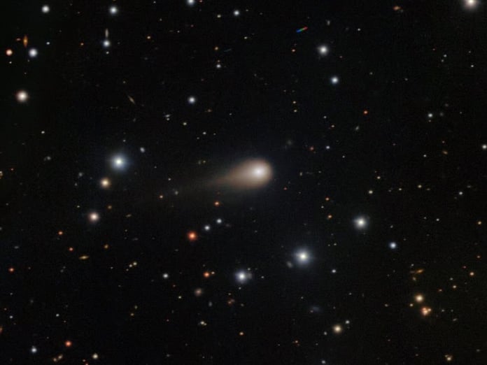 Gezegen tohumu olabilir mi: 31/ATLAS gizemi