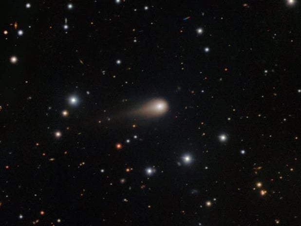 Gezegen tohumu olabilir mi: 31/ATLAS gizemi