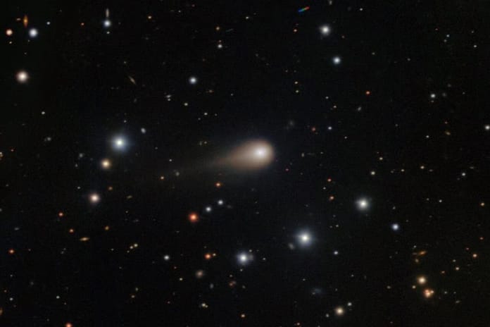 Gezegen tohumu olabilir mi: 31/ATLAS gizemi