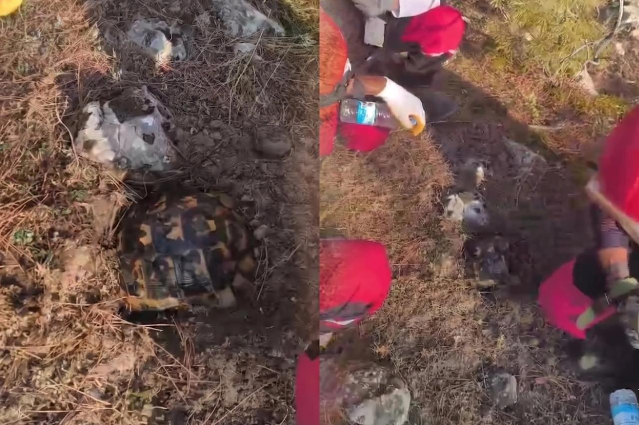 Alevlerden korunmak için kendini toprağa gömmeye çalıştı