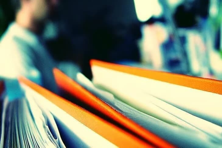 Otoban kenarından çıkan kemikler gerçeği ortaya çıkardı