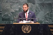 Şara Türkiye’ye BM’den teşekkür etti