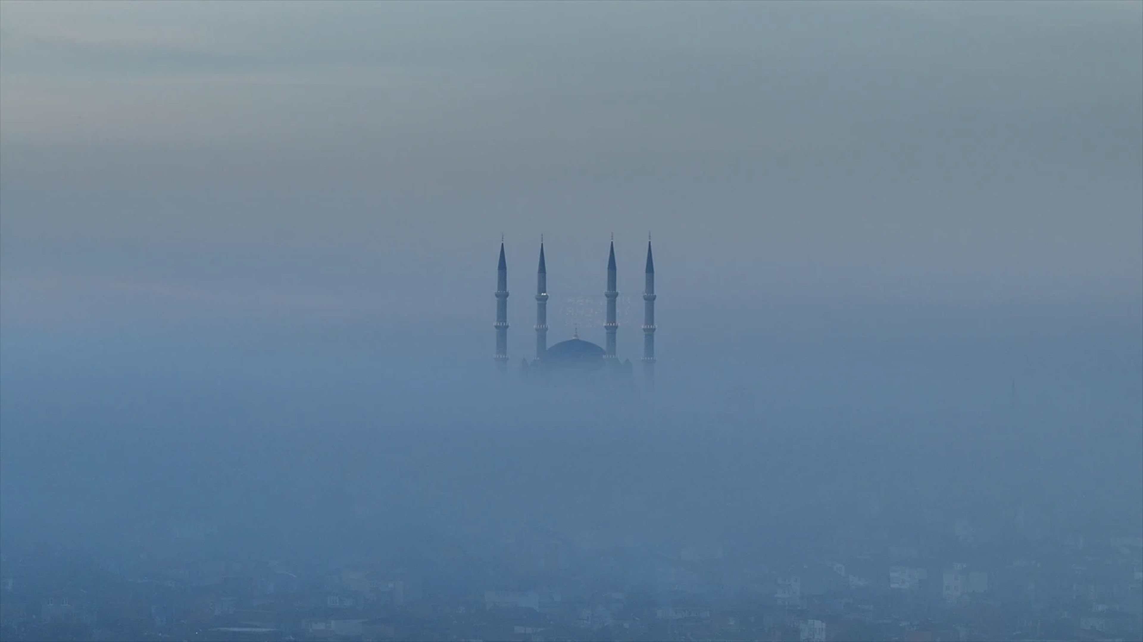 Galeri Fotoğrafı