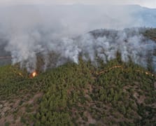 Hatay'da orman yangınına müdahale devam ediyor: 1115 kişi tahliye oldu