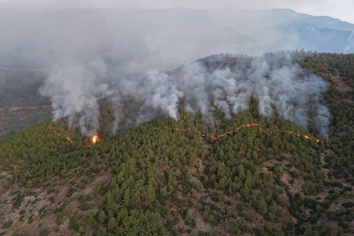 Hatay'da orman yangınına müdahale devam ediyor: 1115 kişi tahliye oldu