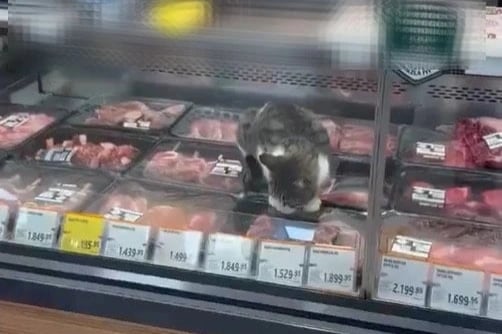 Et reyonundaki görüntüler tepki çekti! Markete ceza yağdı