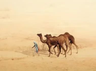National Geographic'ten derece alan fotoğraflar