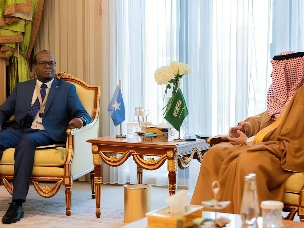 Somalia, Saudi Arabia to Align AI and Space Rules