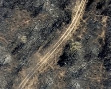 İspanya'da orman yangınları 407 bin hektarı kül etti