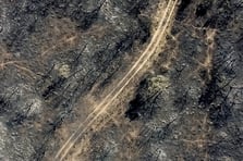 İspanya'da orman yangınları 407 bin hektarı kül etti