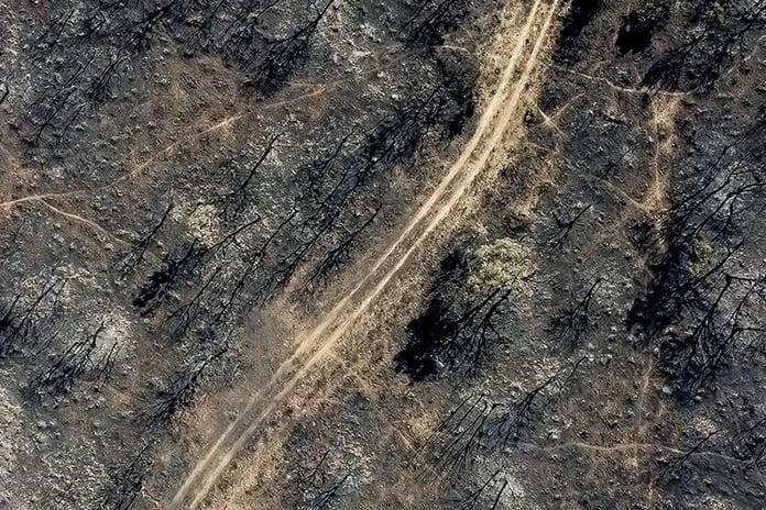 İspanya'da orman yangınları 407 bin hektarı kül etti