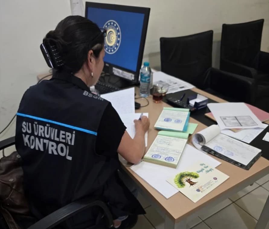 Yeşil alg ne işe yarar