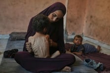 Cato Institute: İsrail küresel düzenin altını oyuyor